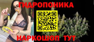 стаф Рязань