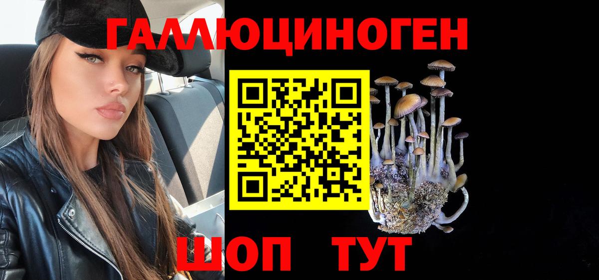 Галлюциногенные грибы ЛСД Светлоград