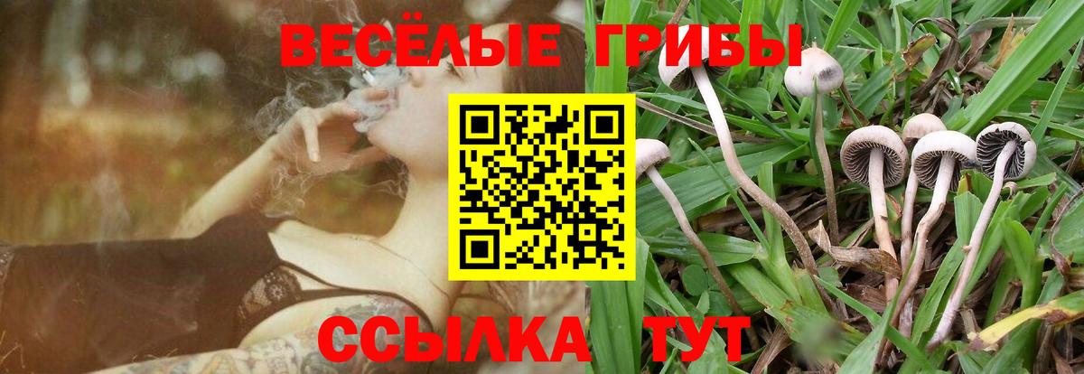 Светлоград  Псилоцибиновые грибы ЛСД  Вход с VPN 